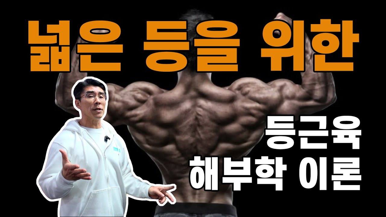 반드시 알고 운동해야하는 등근육 상식!! ㅡ김명섭과 함께 하는 쉽고 재미있는 등해부학이론(요통이오는 이유)