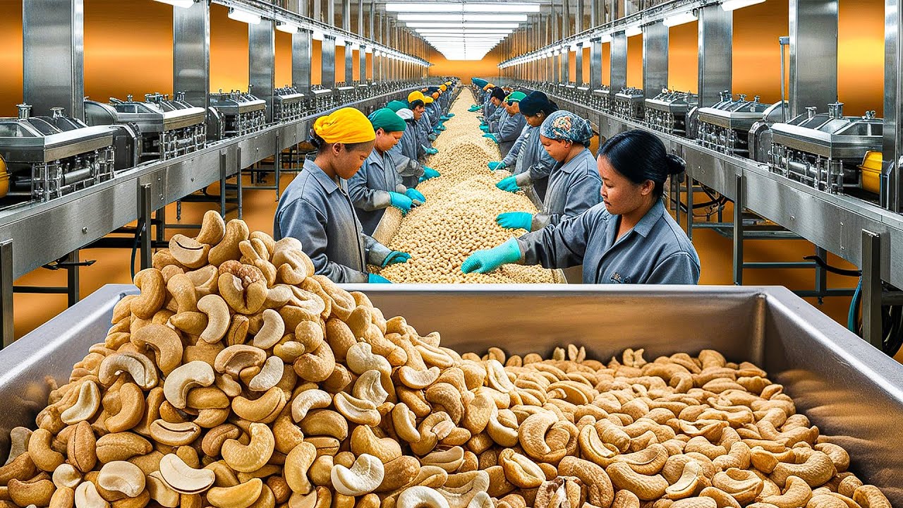 I Visited a Cashew Nut Factory (You Won't Believe How They Process Cashews)