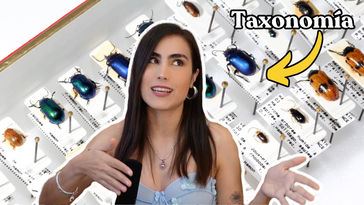 &iquest;Qu&eacute; es y para qu&eacute; nos sirve la taxonom&iacute;a? - Reinos de la naturaleza