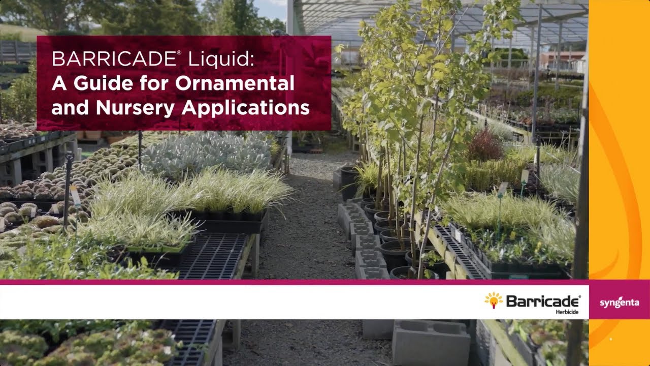BARRICADE&reg; Herbicide: A Guide for Ornamental and Nursery Applications