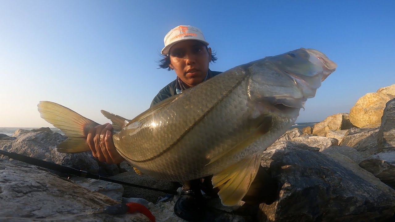 Pesca de Robalos en Magdalena km 19 entre Santa Marta y Barranquilla / Los Kilometros