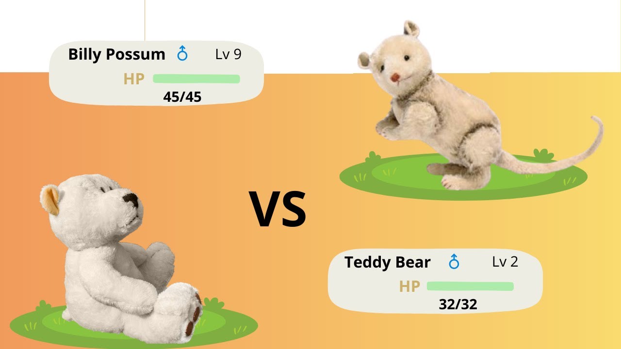 Ours en peluche contre Billy Possum