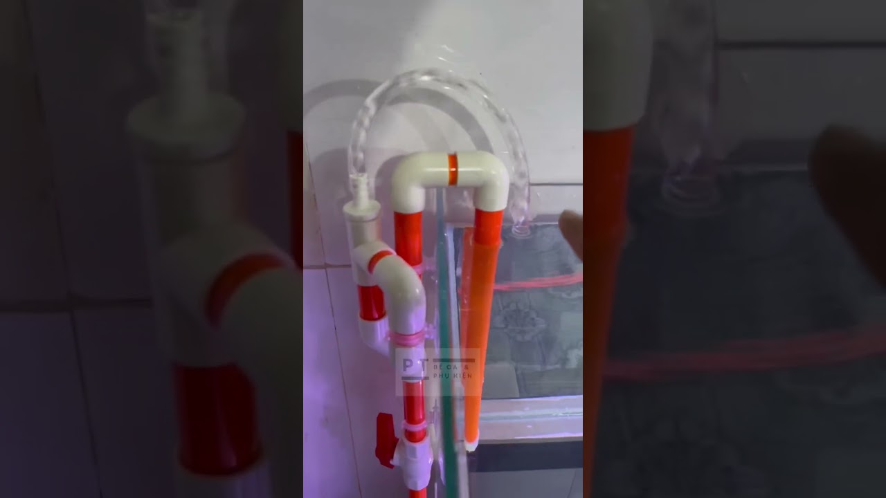 Giải pháp đi đường ống cho bể cá không cần khoang kính hoạt động như hồ công nghệ mới