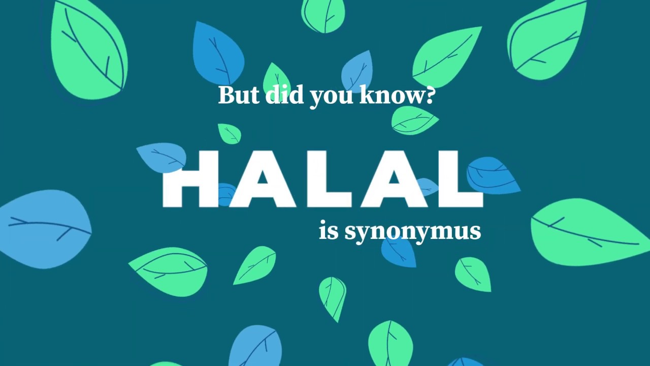 How Halal Are You? - The Big Debate (Halal Expo London 5th-7th December 2019)
