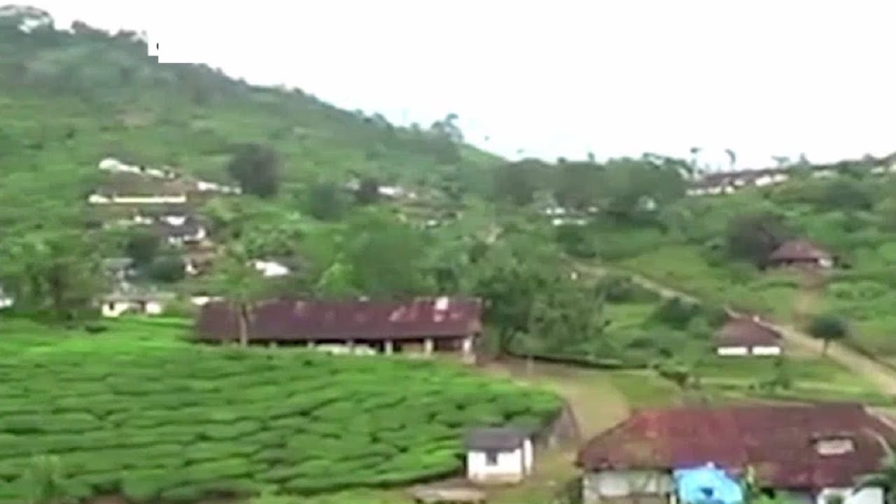 പുത്തുമലയിലെ ദുരന്ത തീവ്രത; ഞെട്ടിൽ മാറാതെ നാട്ടുകാർ| ​Puthumala village