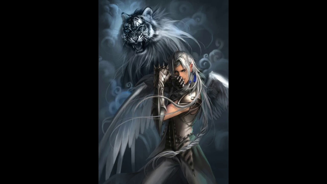 dreamix male VER