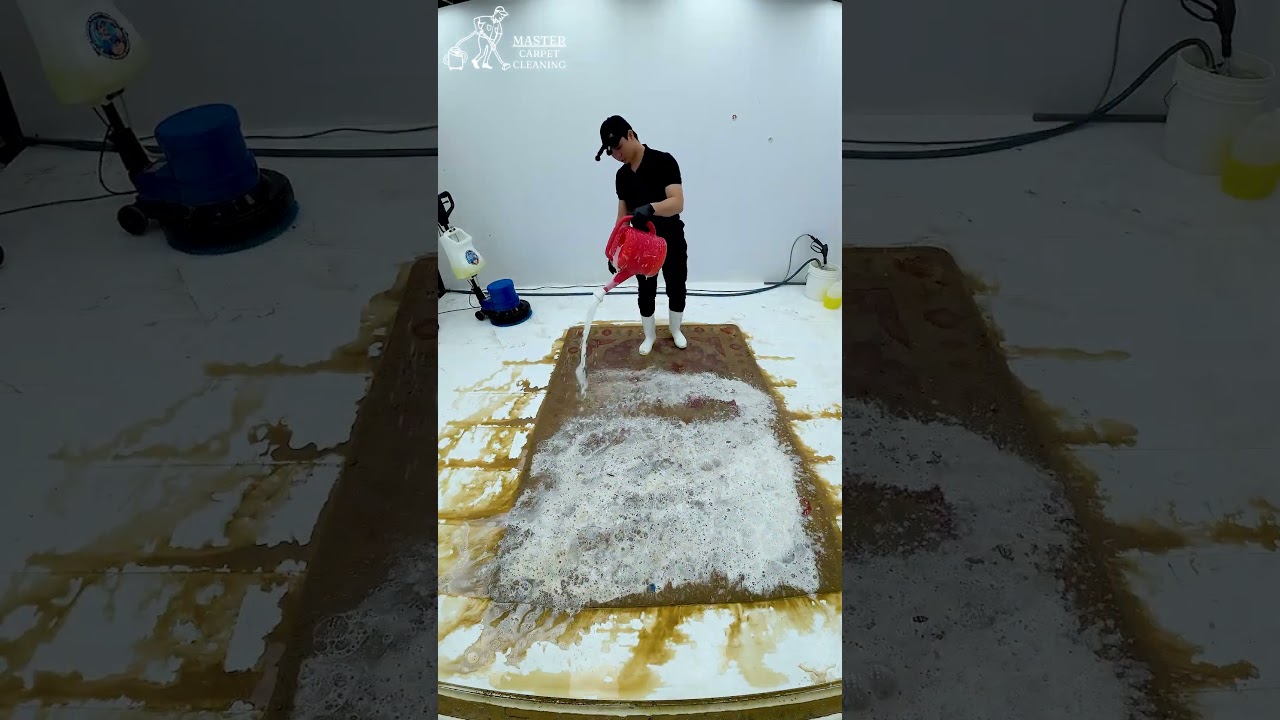 Years of Dust and Mud&hellip; All Gone in Minutes #carpetcleaning #shorts #asmr