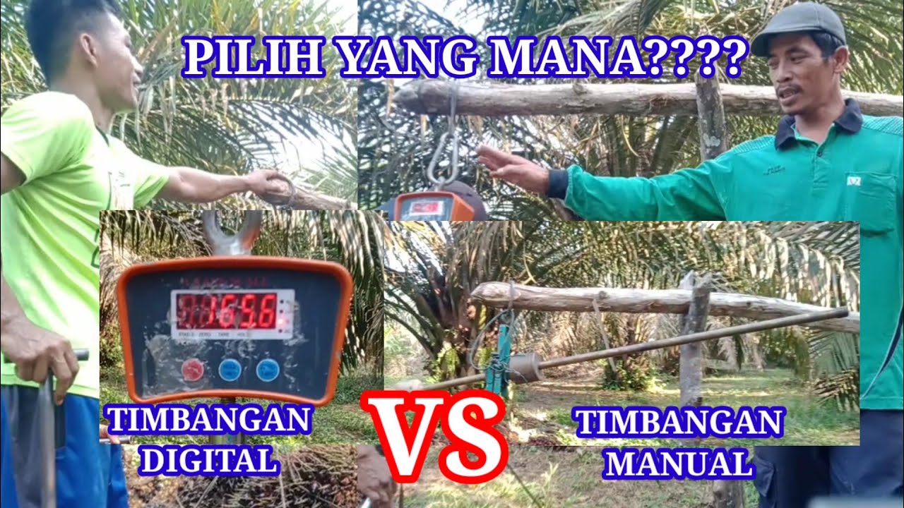 TIMBANGAN SAWIT DIGITAL DAN TIMBANGAN SAWIT MANUAL @TIO BANGKO
