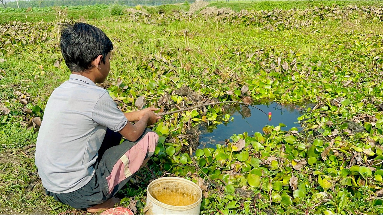 Fishing Video 🎣🐟 | Village Hook Fishing in Clear Water - Simple Method, Big Catch!
