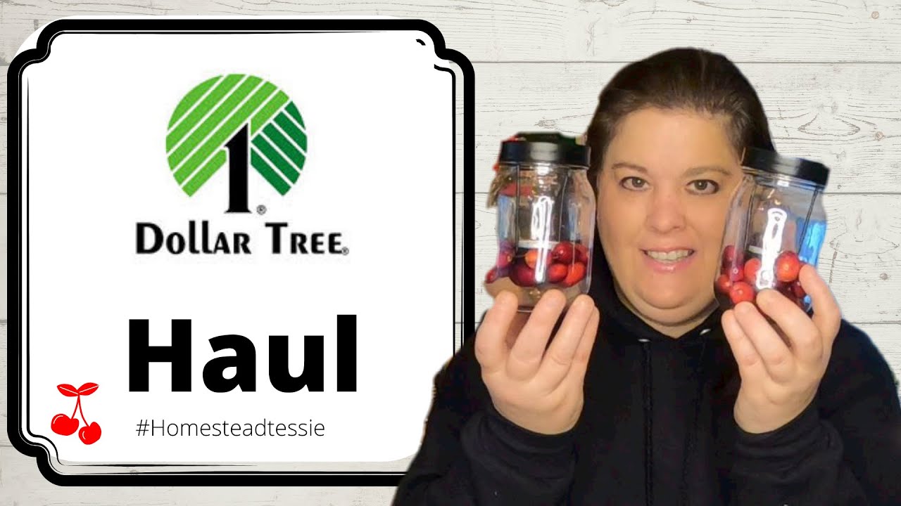 what's new at dollar tree **crazy good new finds!**