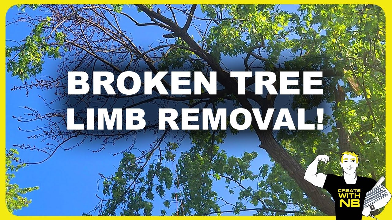 High Broken Tree Limb Removal - Life Hacks