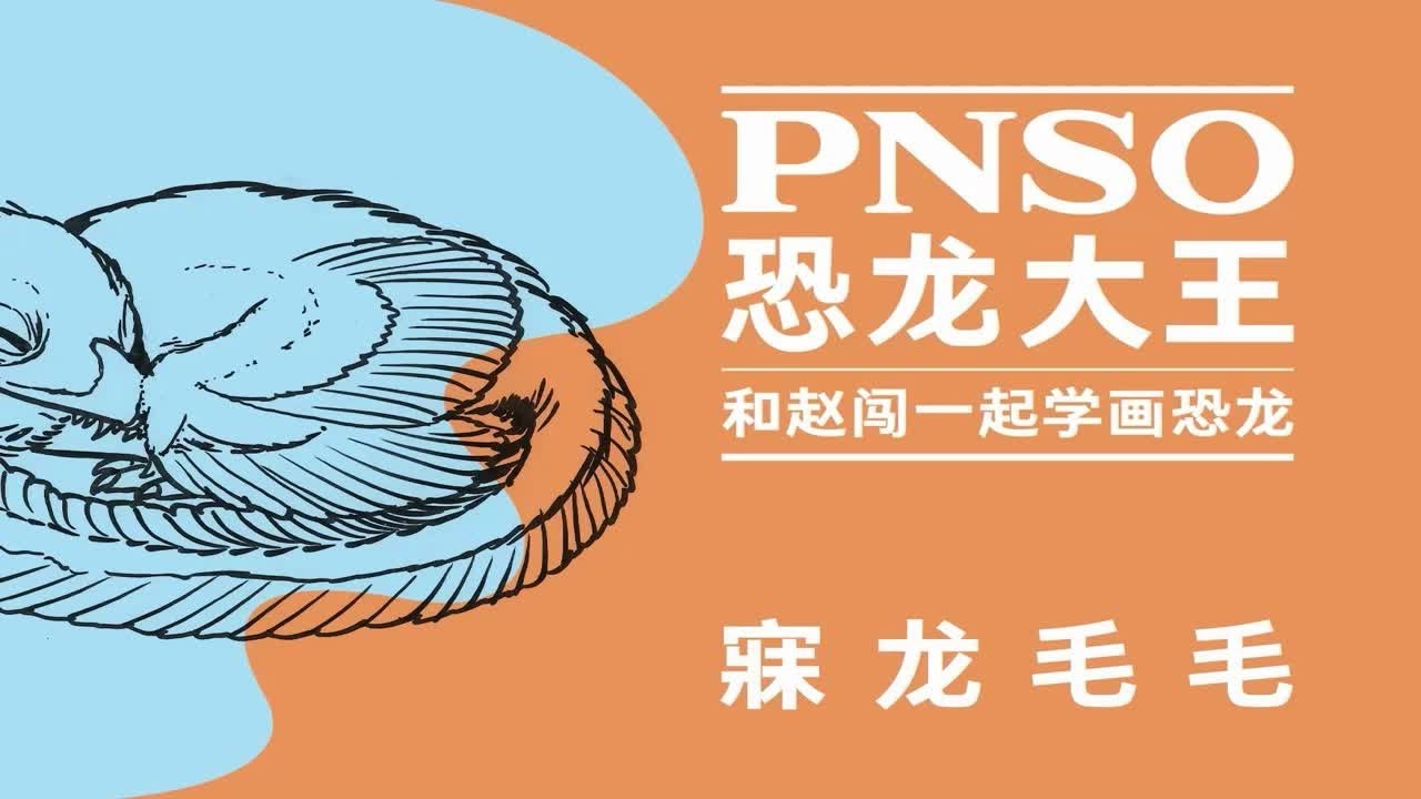 和赵闯学画小恐龙：寐龙 毛毛