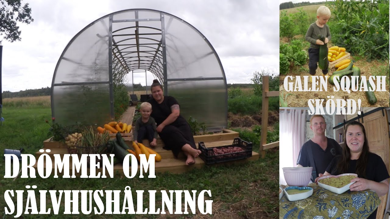 DRÖMMEN OM SJÄLVHUSHÅLLNING DEL 8 - Sista videon om squash!