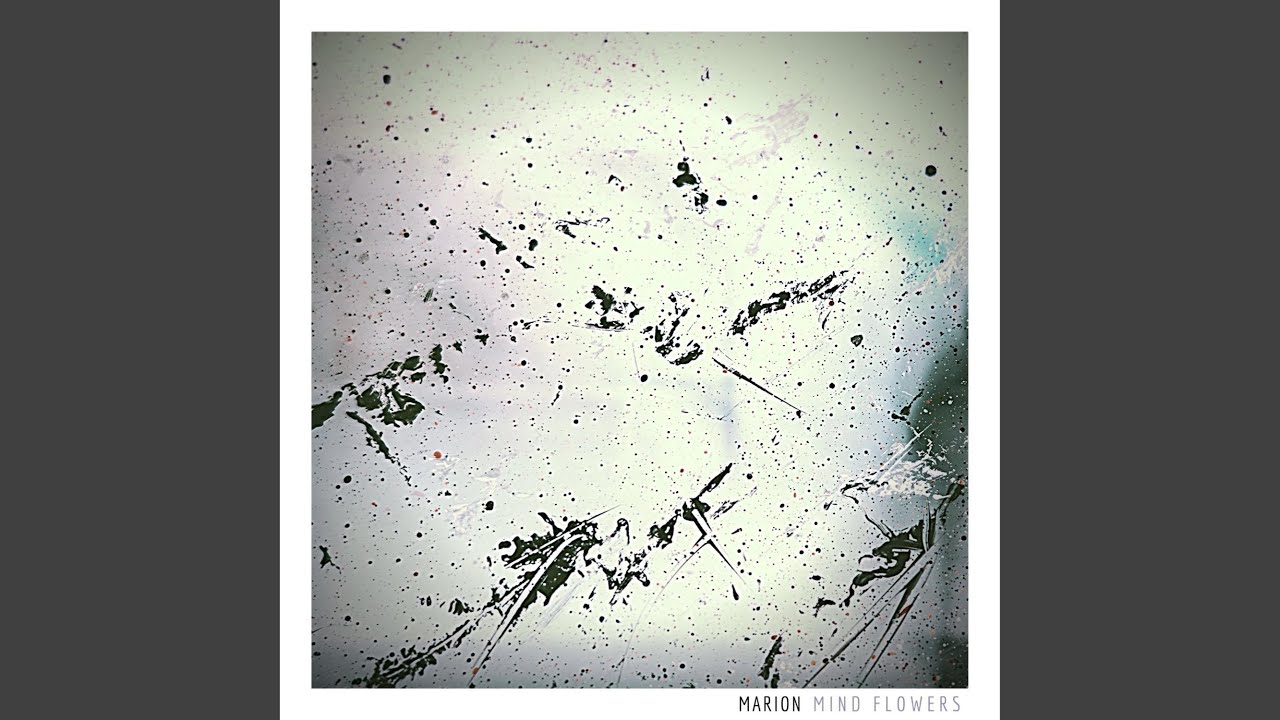 Mind Flowers