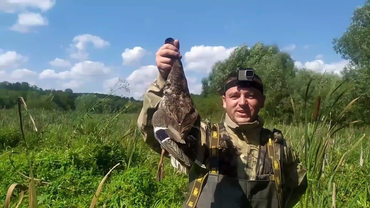 Полювання На Качку !! ВІДКРИТТЯ ПОЛЮВАННЯ 2021