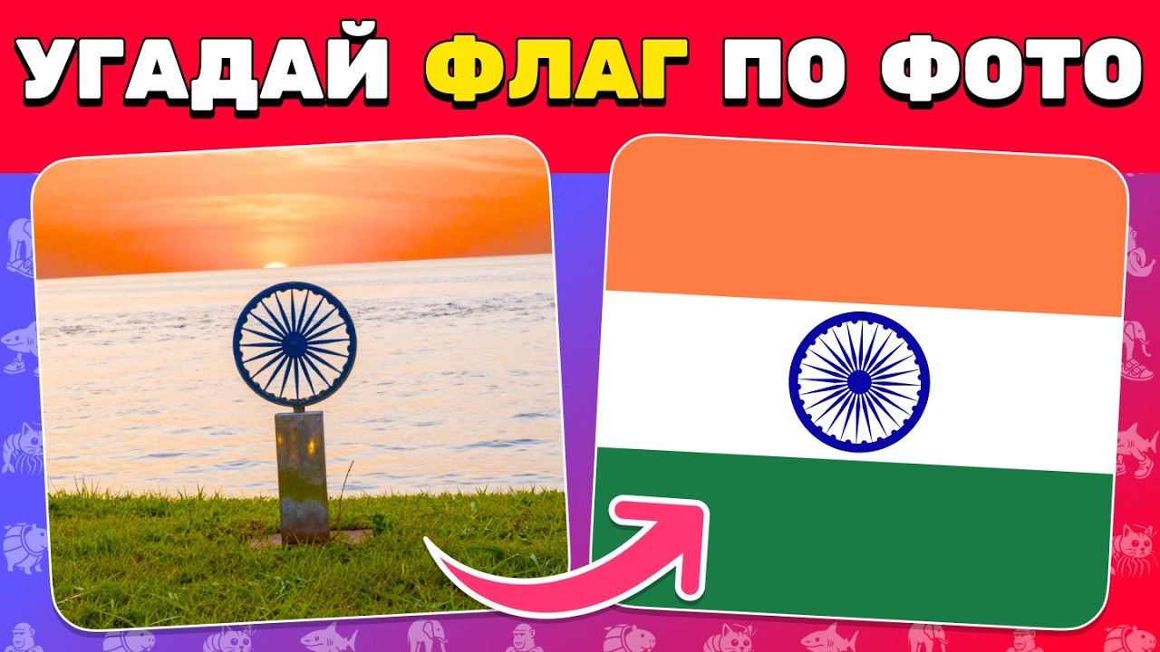 Угадай ФЛАГ по реальной ФОТОИЛЛЮЗИИ 🇷🇺🔍🌍 | Челлендж на внимательность