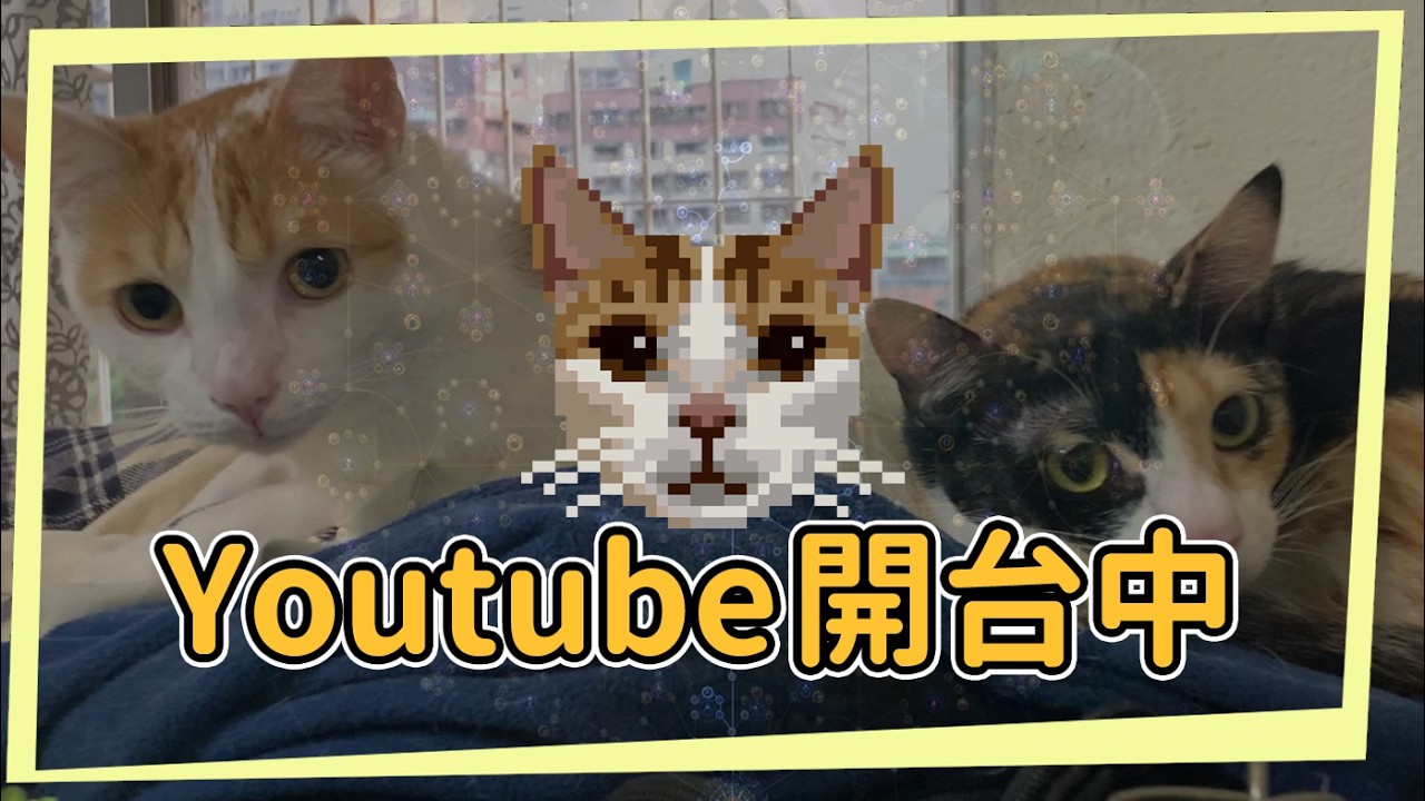 這顆輔助寶石給2萬5000點傷 等不及起來做完召喚契約BV