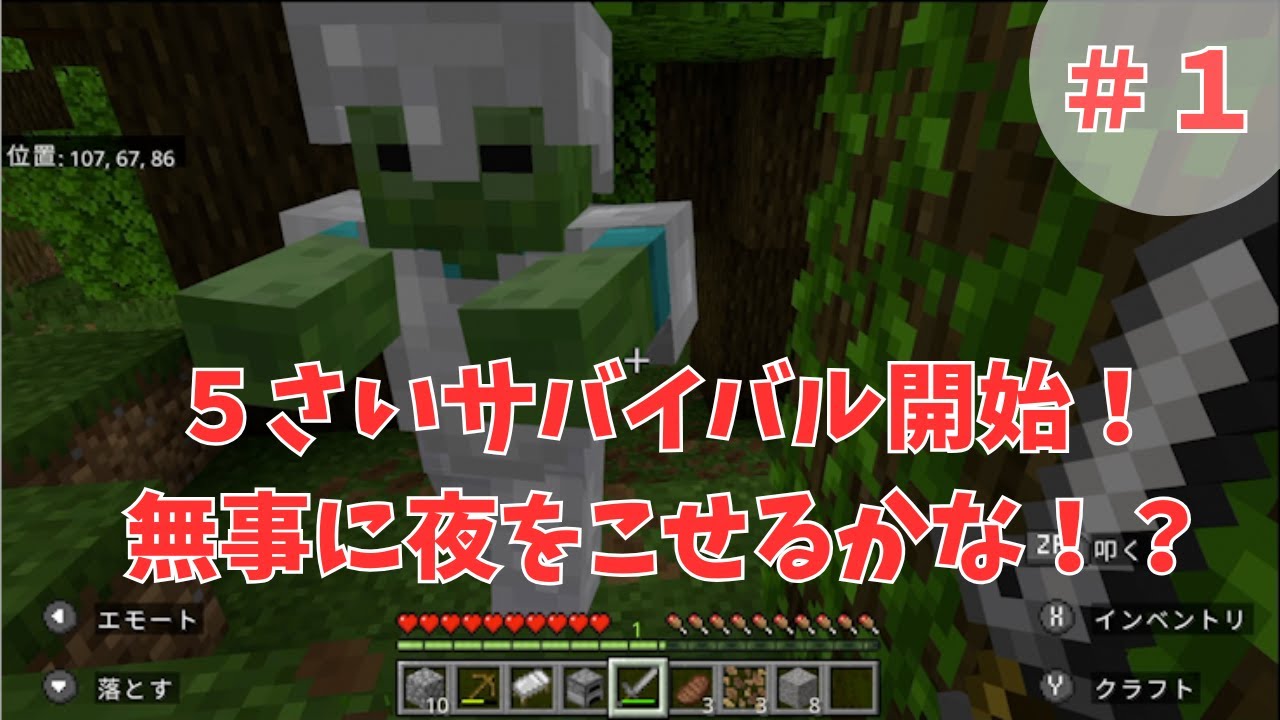 【マイクラ】５歳サバイバルモードに挑戦！