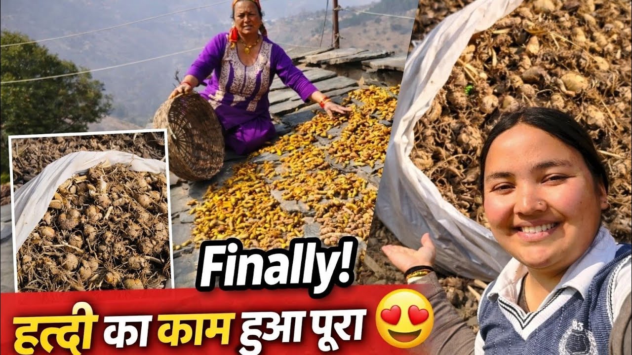 आखिर हो ही गया हल्दी का काम पूरा 🏔️one more haldi vlog 😃#youtube #phadilifestyle #trending
