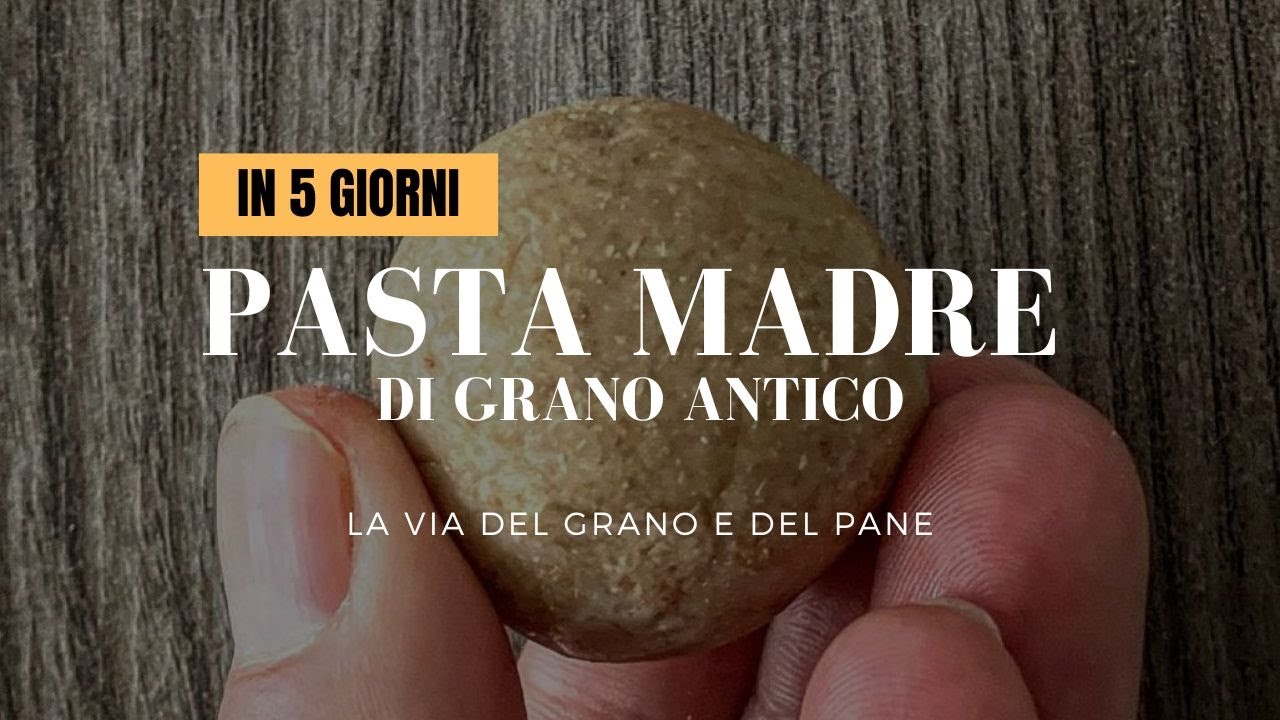 PASTA MADRE FACILE (IN 5 GIORNI): LIEVITO MADRE DI GRANI ANTICHI | La via del grano e del pane