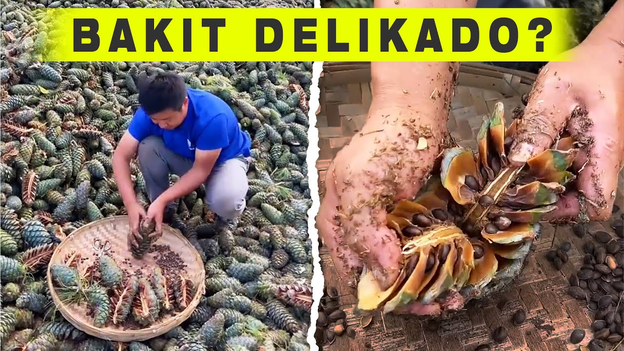 Bakit Delikado?