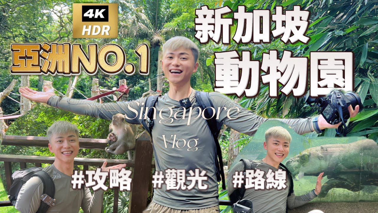 新加坡自由行EP.3🦥亞洲排名第一的新加坡動物園 簡直是動物的天堂｜新加坡出行地鐵捷運體驗｜新加坡动物园｜新加坡夜間動物園｜新加坡攻略｜新加坡vlog｜Singapore travel｜新加坡旅游