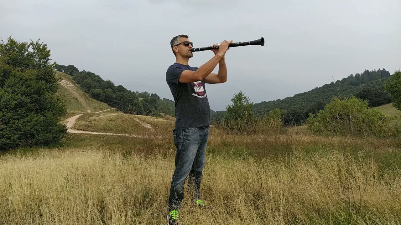 Mori vjollca qe cele ne saksi -Rudi Vezi - orkestrale