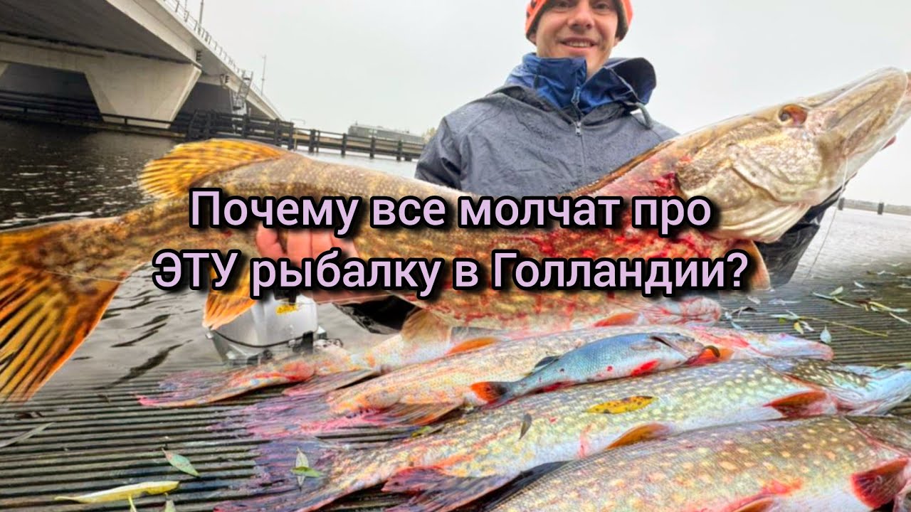 Почему все молчат про ЭТУ рыбалку в Голландии? Щуки монстры!
