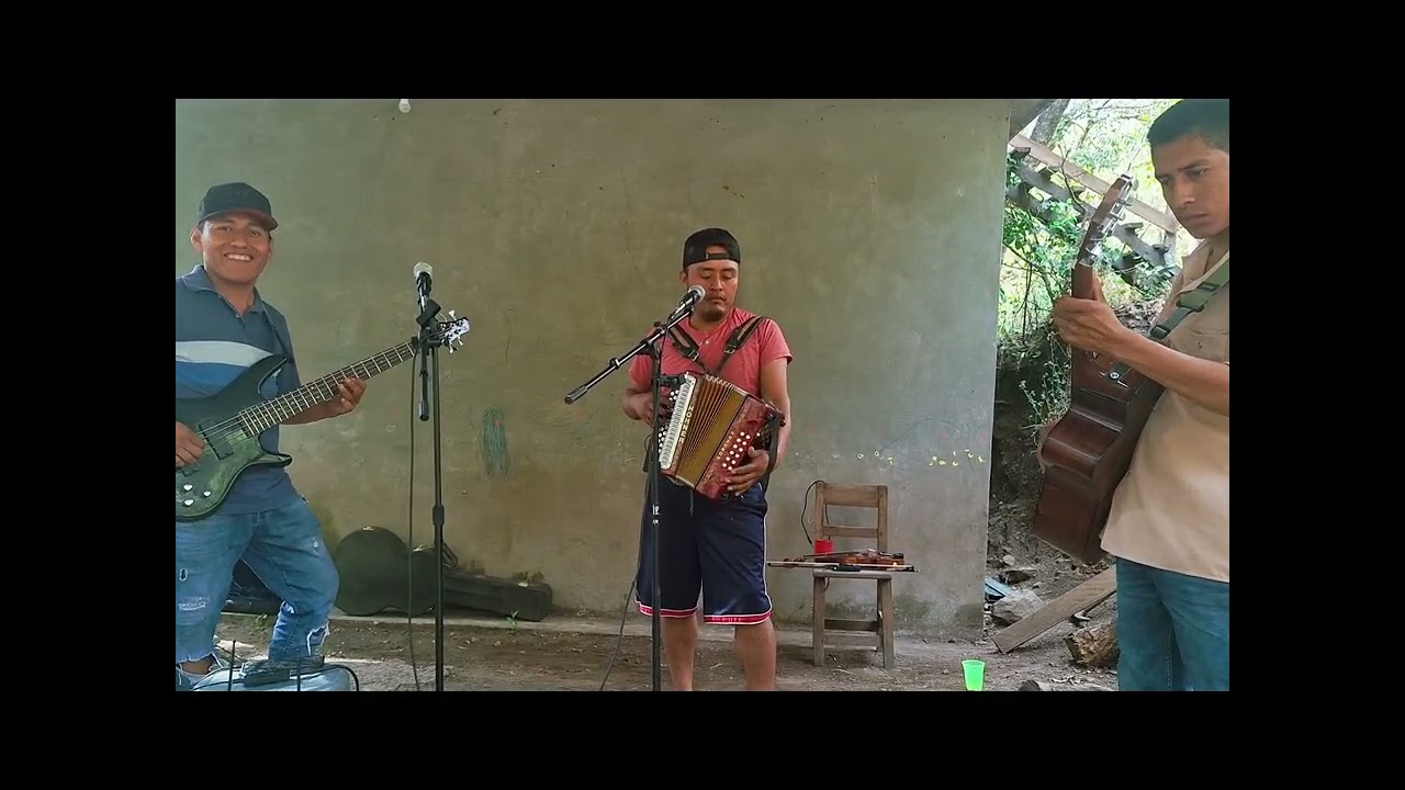 El camaleón cover en vivo 