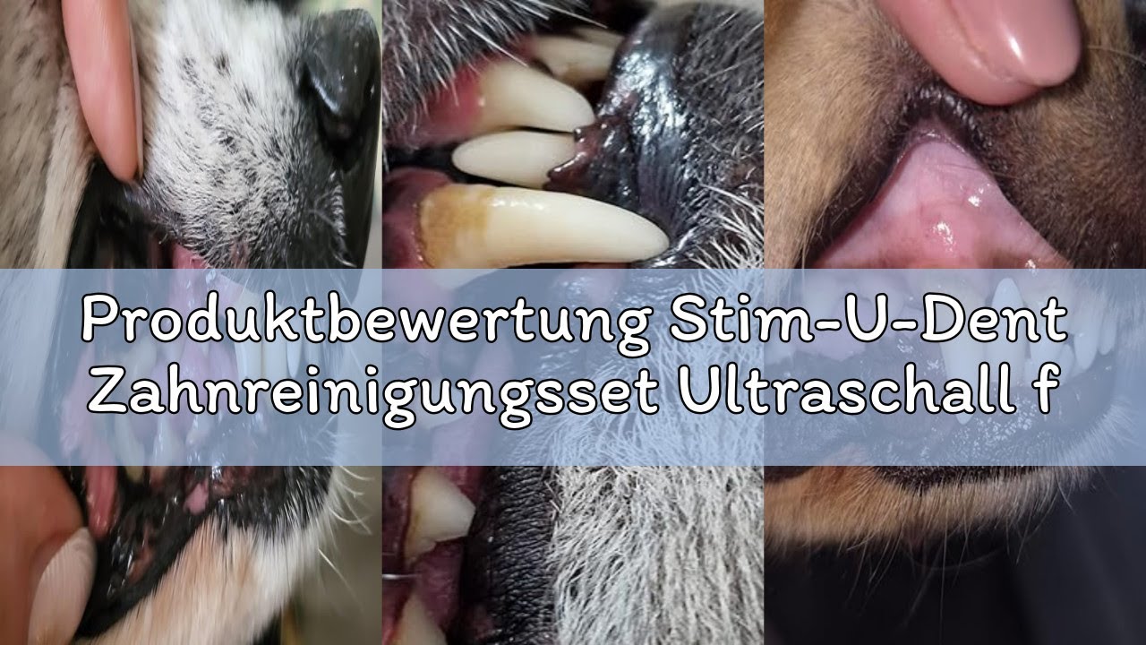 Produktbewertung Stim-U-Dent Zahnreinigungsset Ultraschall für Hund, Zahnreiniger für Haustiere zum