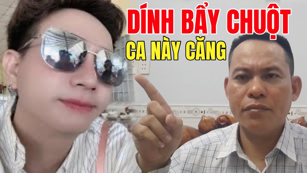 Trí Cảnh Dính Bẩy Chuột .... Vịt Bẩn Thứ 2 Xuất Hiện....? 