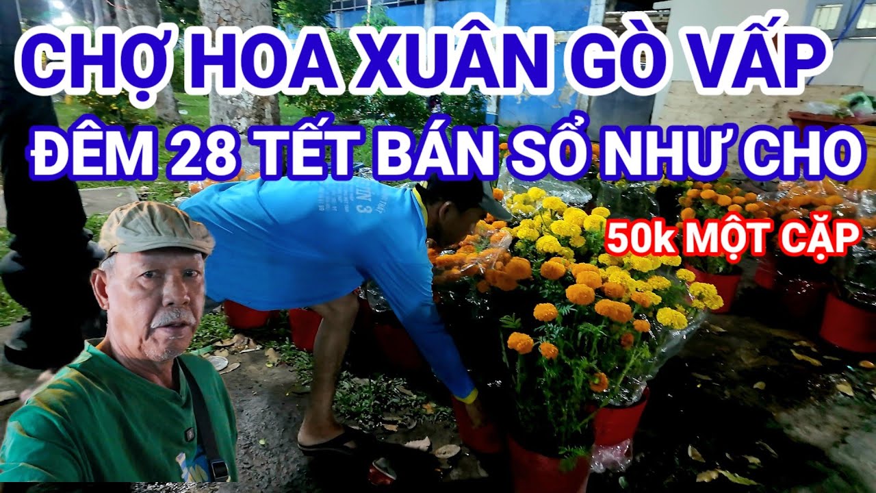 Chợ Hoa Xuân Gò Vấp đêm 28 Tết Bán Sổ Như Cho 2026 