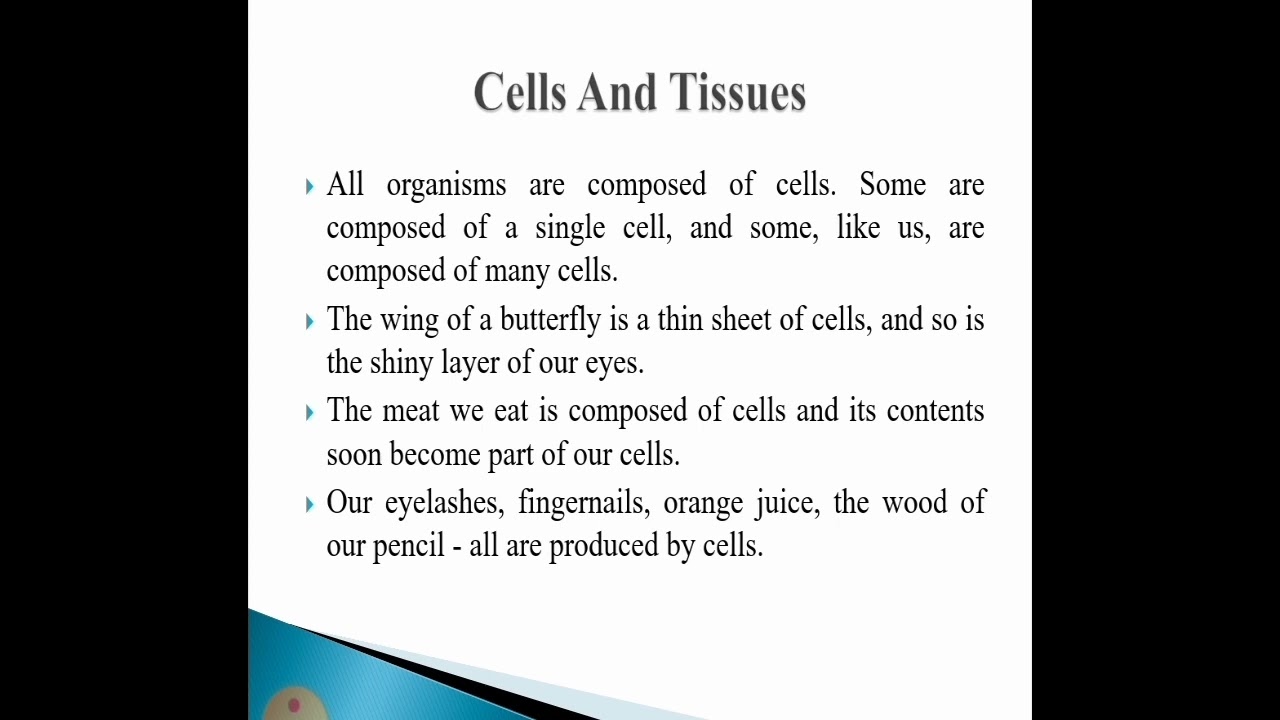 Cells and tissues