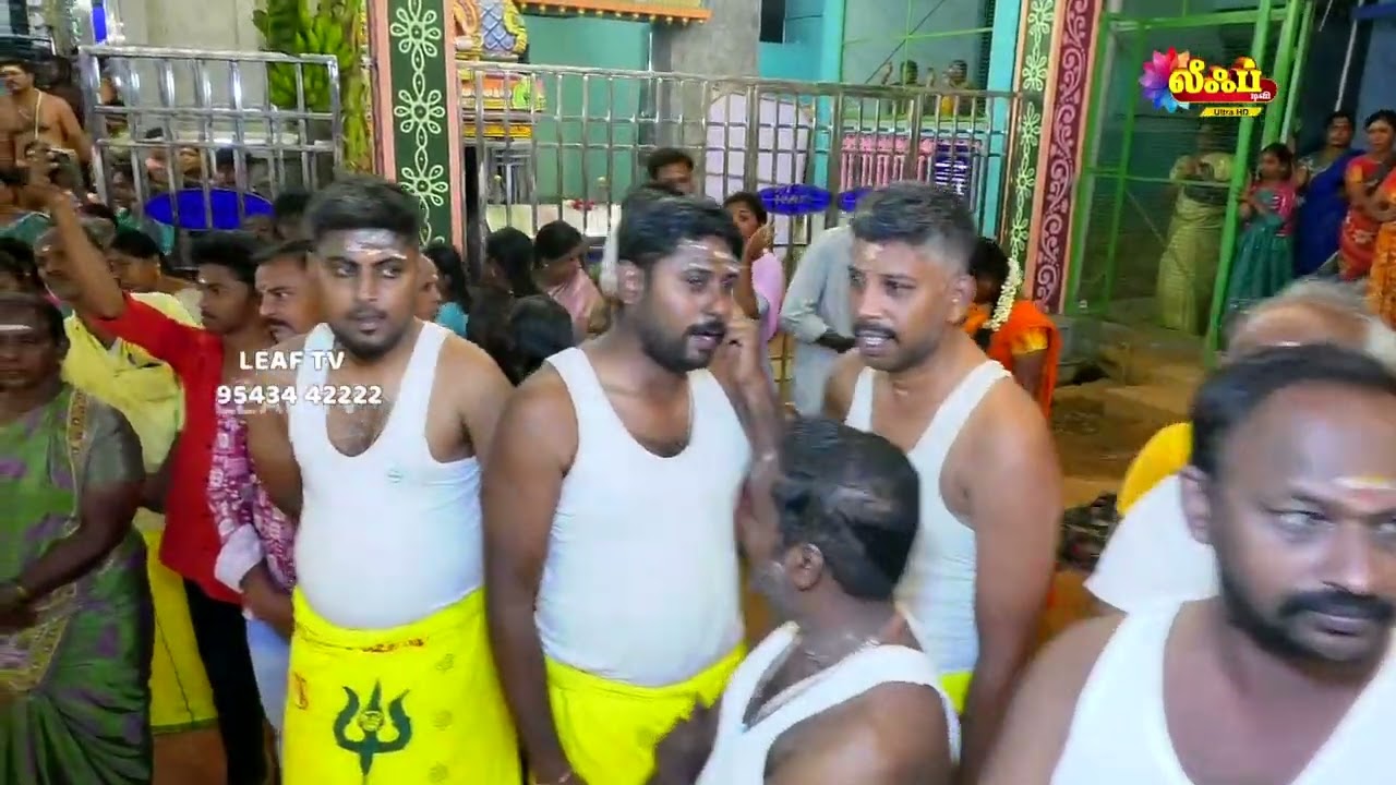 குமராபாளையம் அருள்மிகு காளியம்மன் திருக்கோவில் பூச்சாட்டு விழா 2026