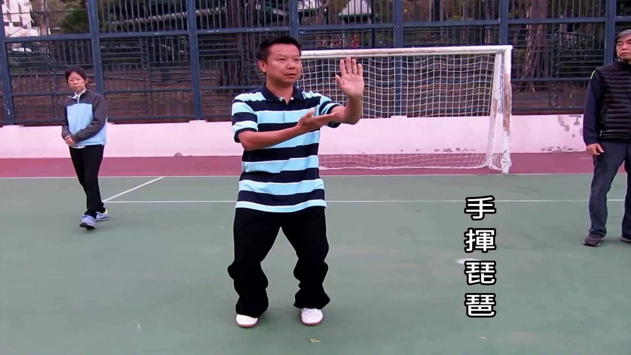 吳家鄭式太極拳方拳119式(分段1/6)