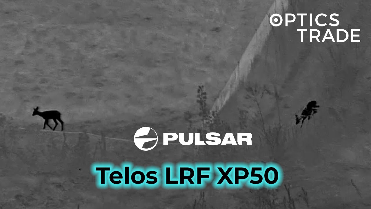Deer with Pulsar Telos LRF XP50 | Optics Trade See Through