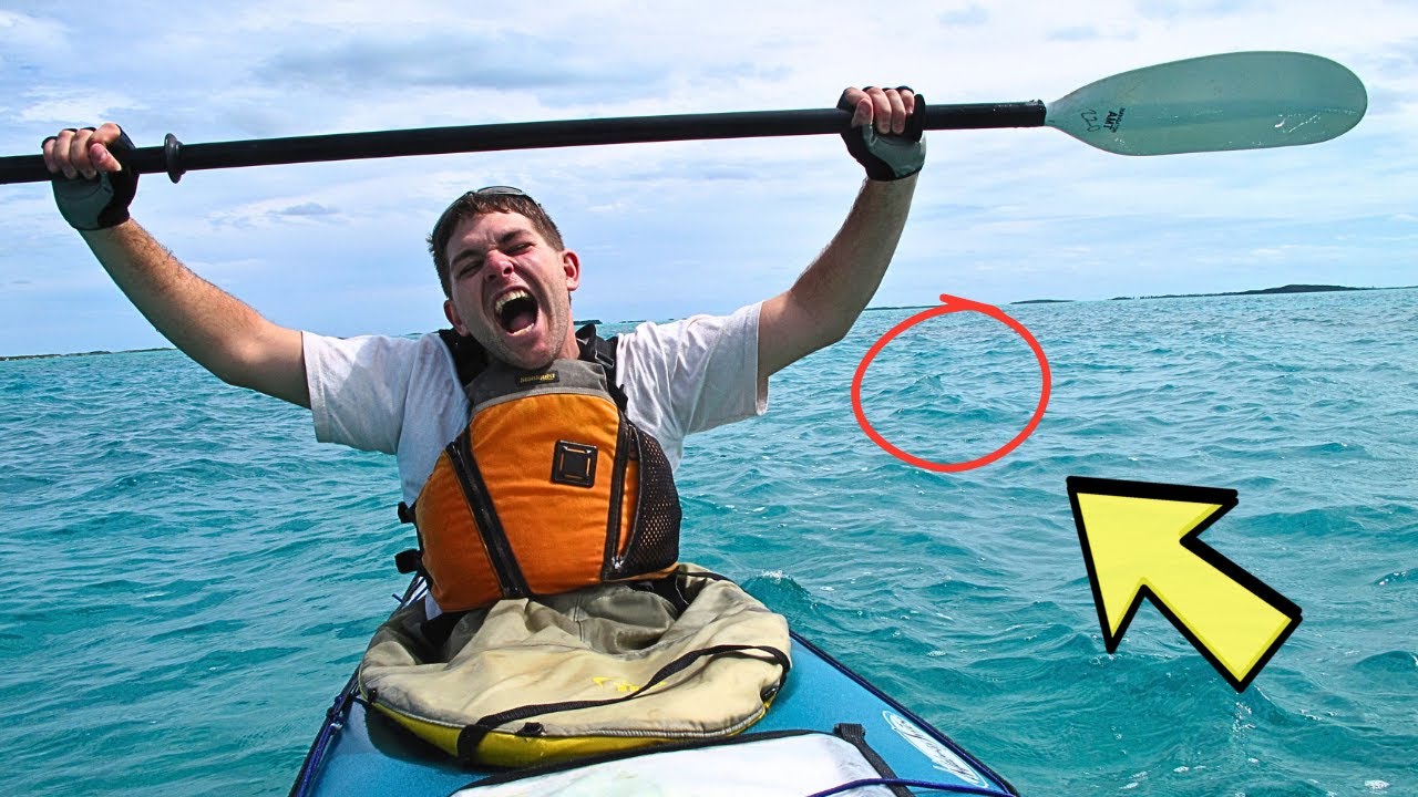 Four Miles From Shore, A Kayaker Froze When He Realized What Was Floating Beside Him