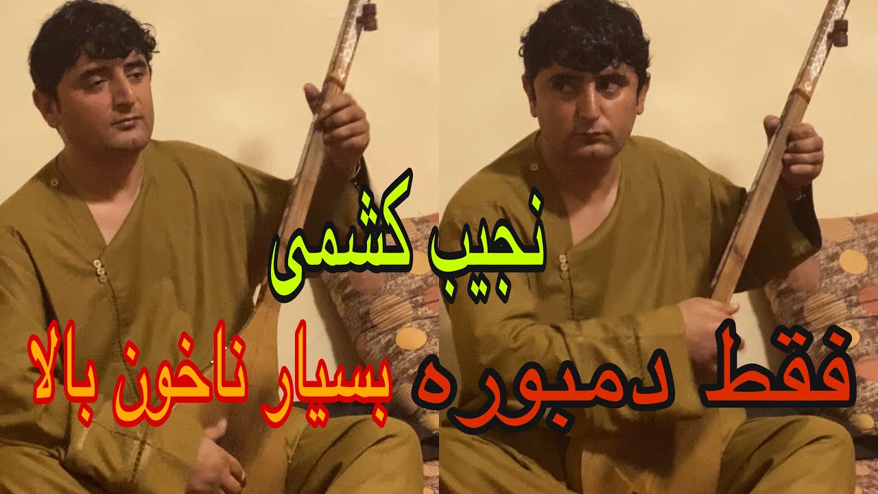 نجیب کشمی دمبوره جدید (یارانه) ٨١ ‌Najib keshmi New Dambora