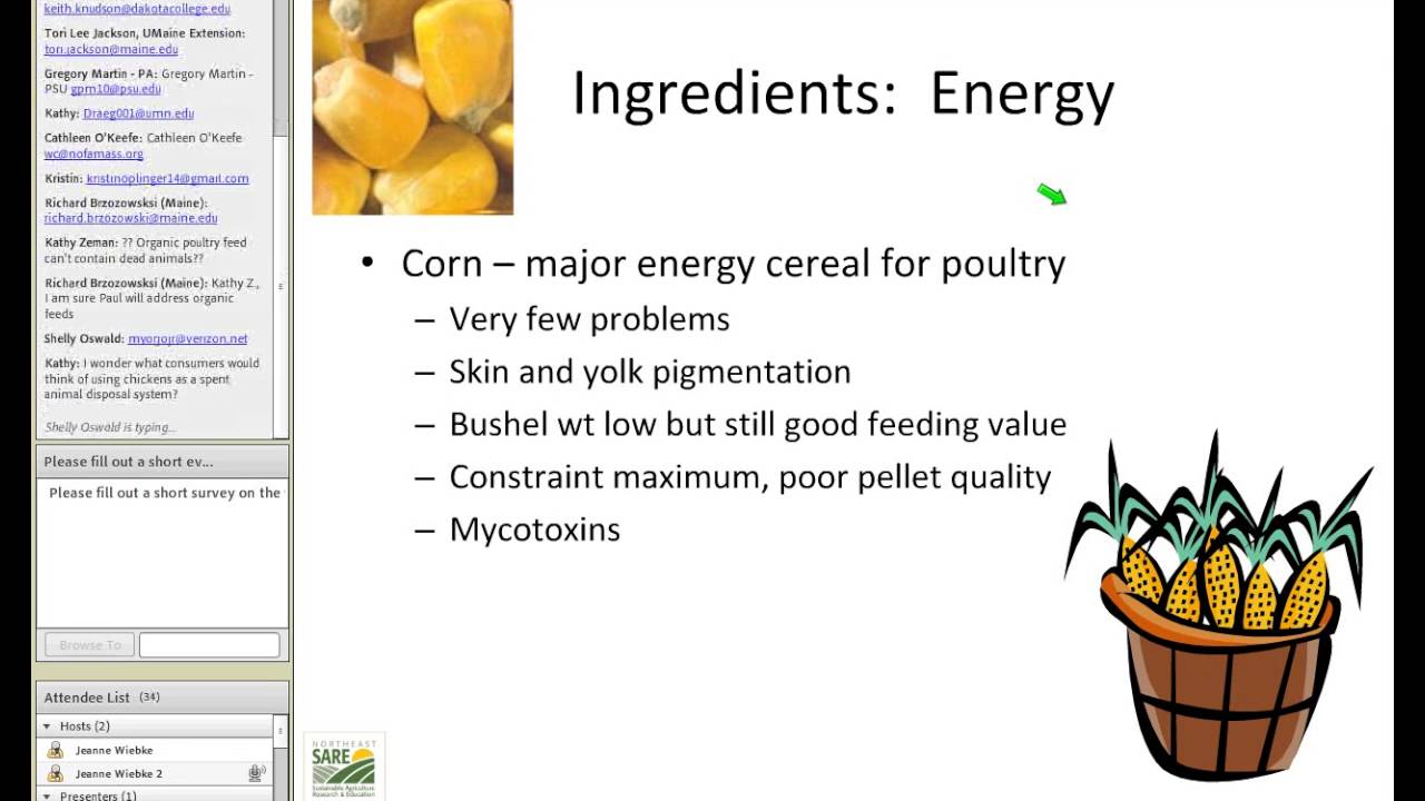 Feeds and feeding of pullets and layers