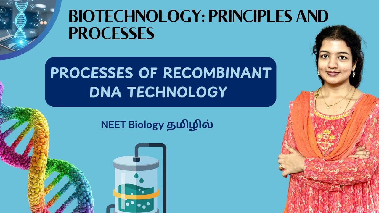 Processes of Recombinant DNA Technology (NEET aspect) #Class12 #NCERTbiology @crackNEETBiologyy 