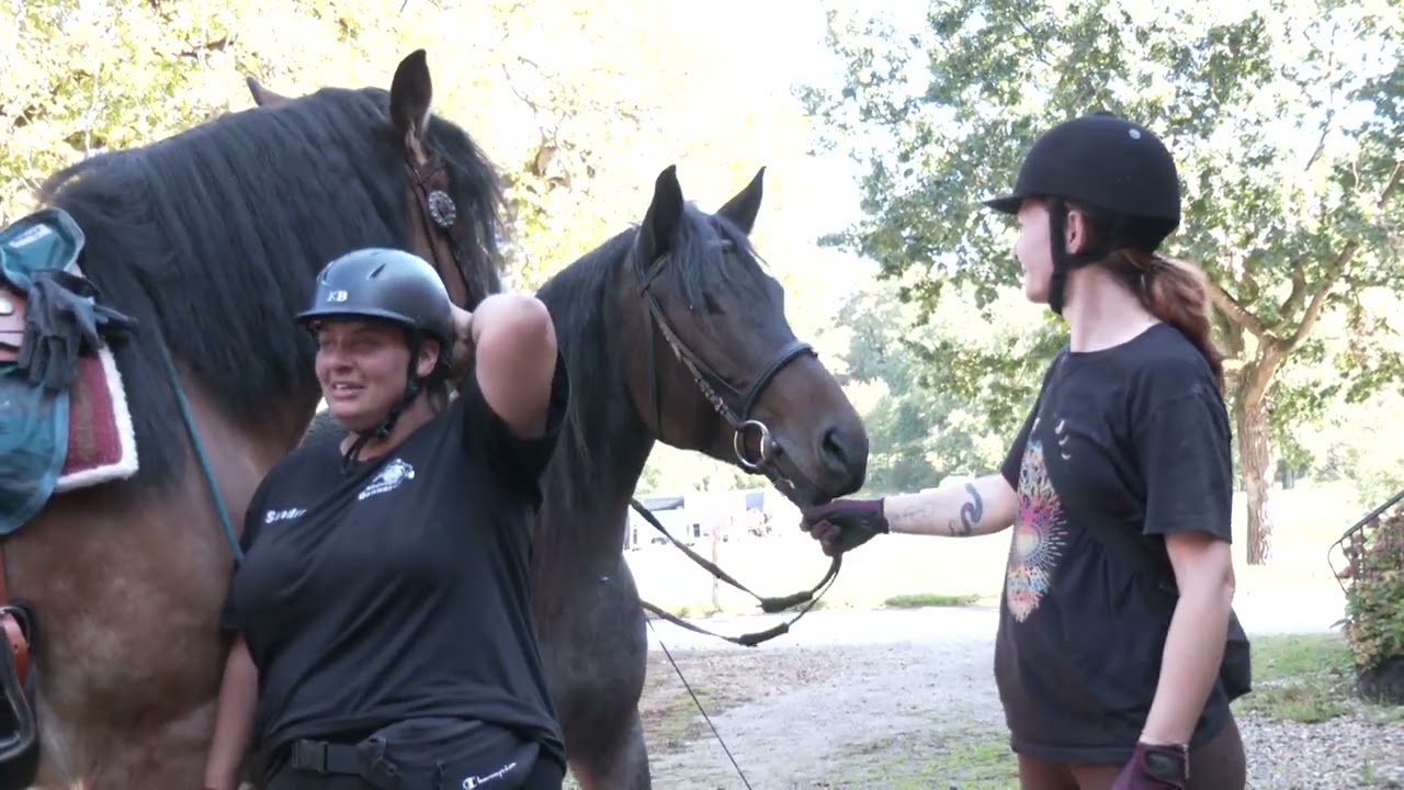 Rencontre de cavaliers à Althornbach