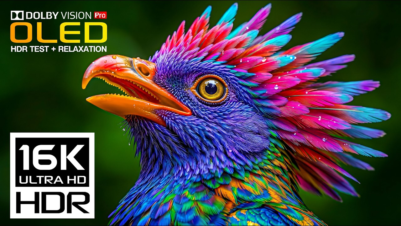 Impossible Nature Animals | OLED HDR TEST | Dolby Vision 120fps (8K/4K Ultra HD)