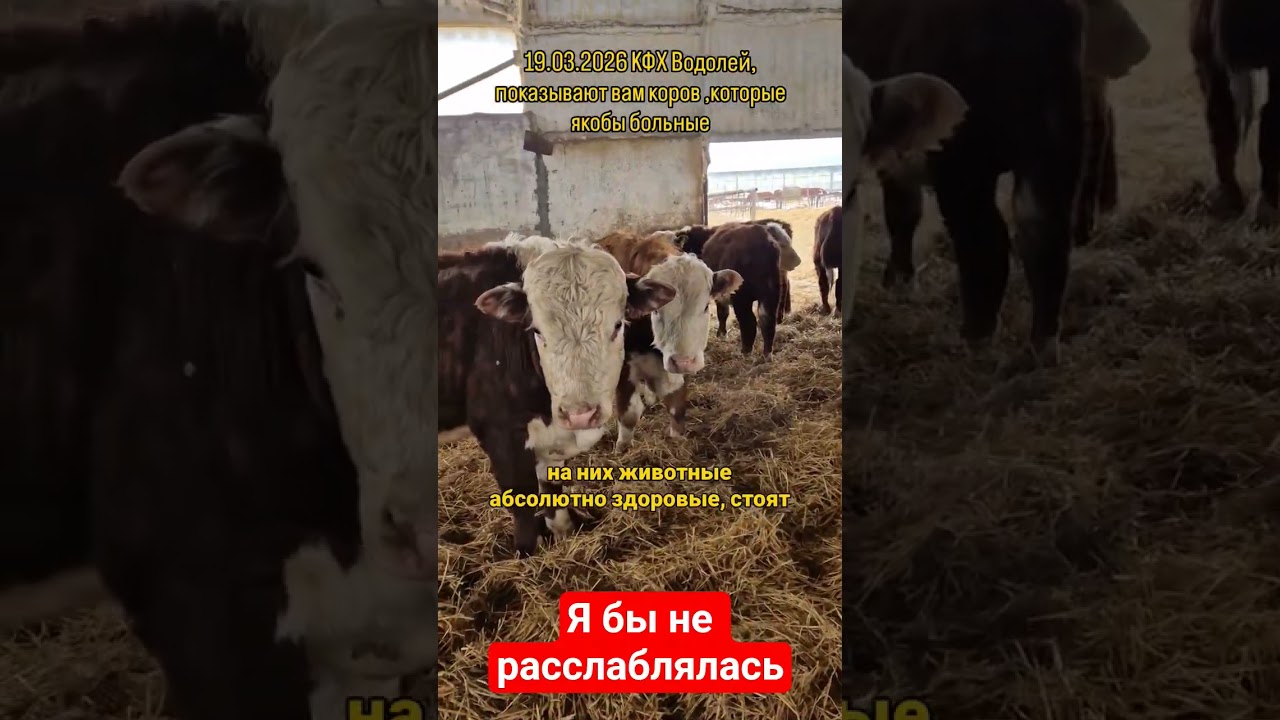 КХК Водолей село Козиха, куда сегодня приезжал ОМОН. Я бы всё же не расслаблялась.