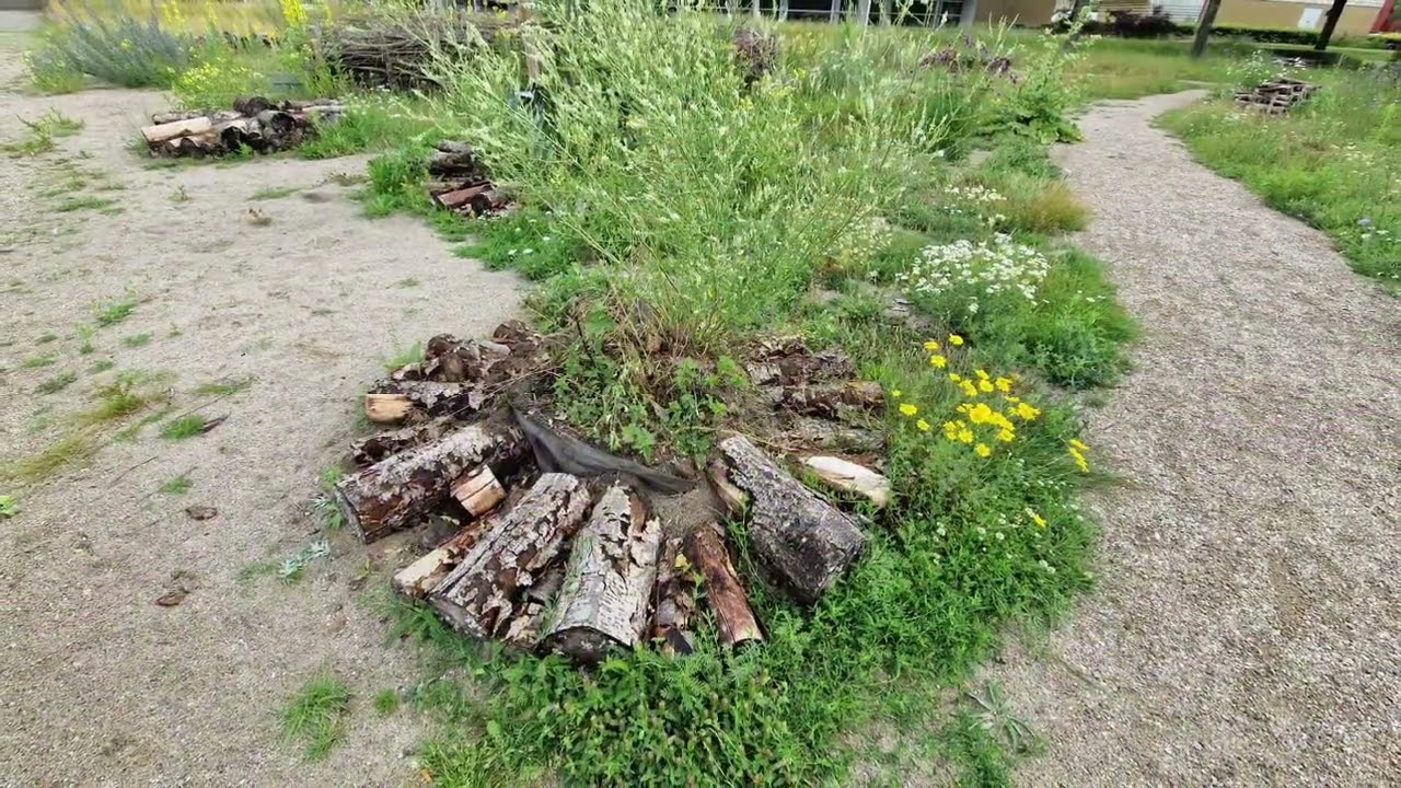 2. juli 2023 N&aelig;stved - Den VILDE R&aring;dmandshave