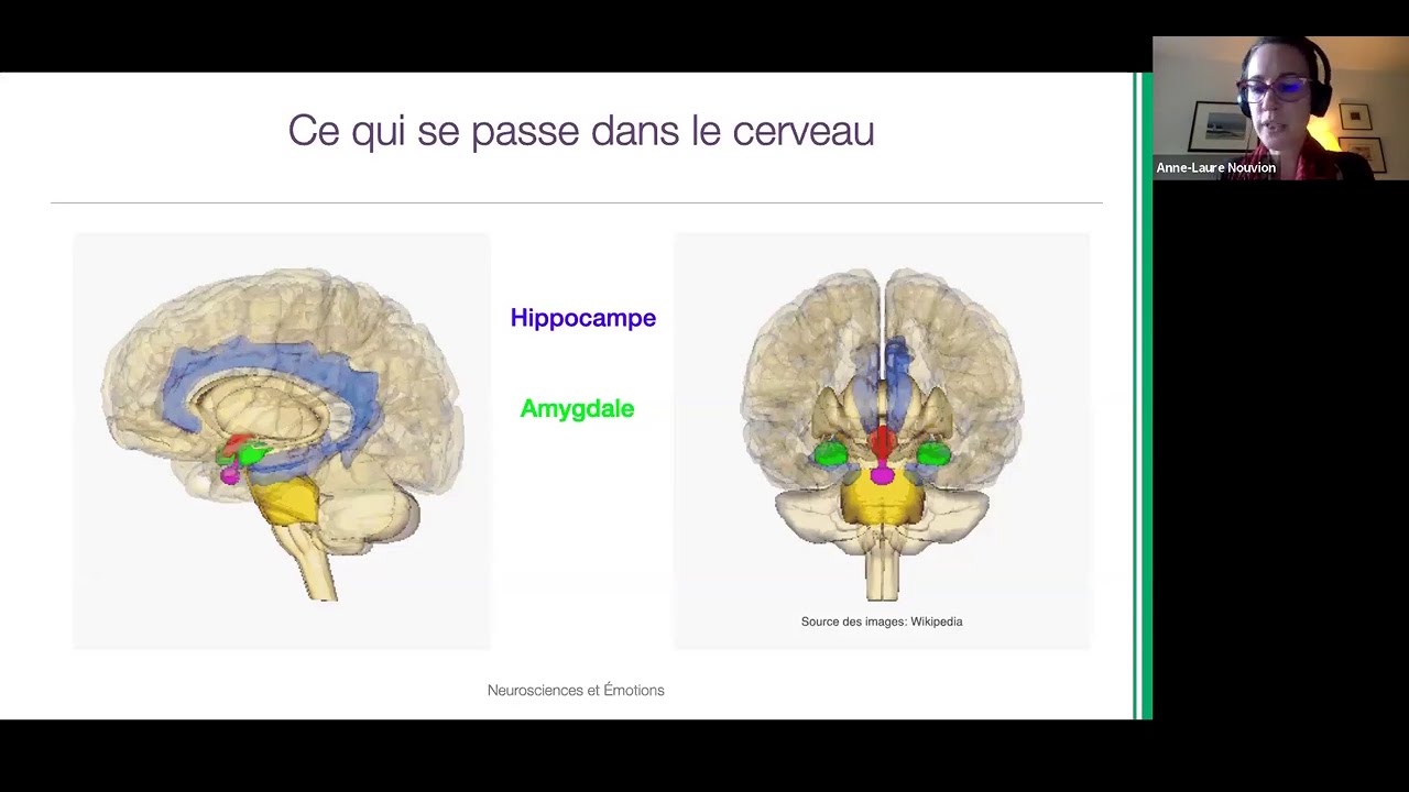 Le cerveau des émotions: avons-nous des souvenirs avant l'âge de 3 ans?