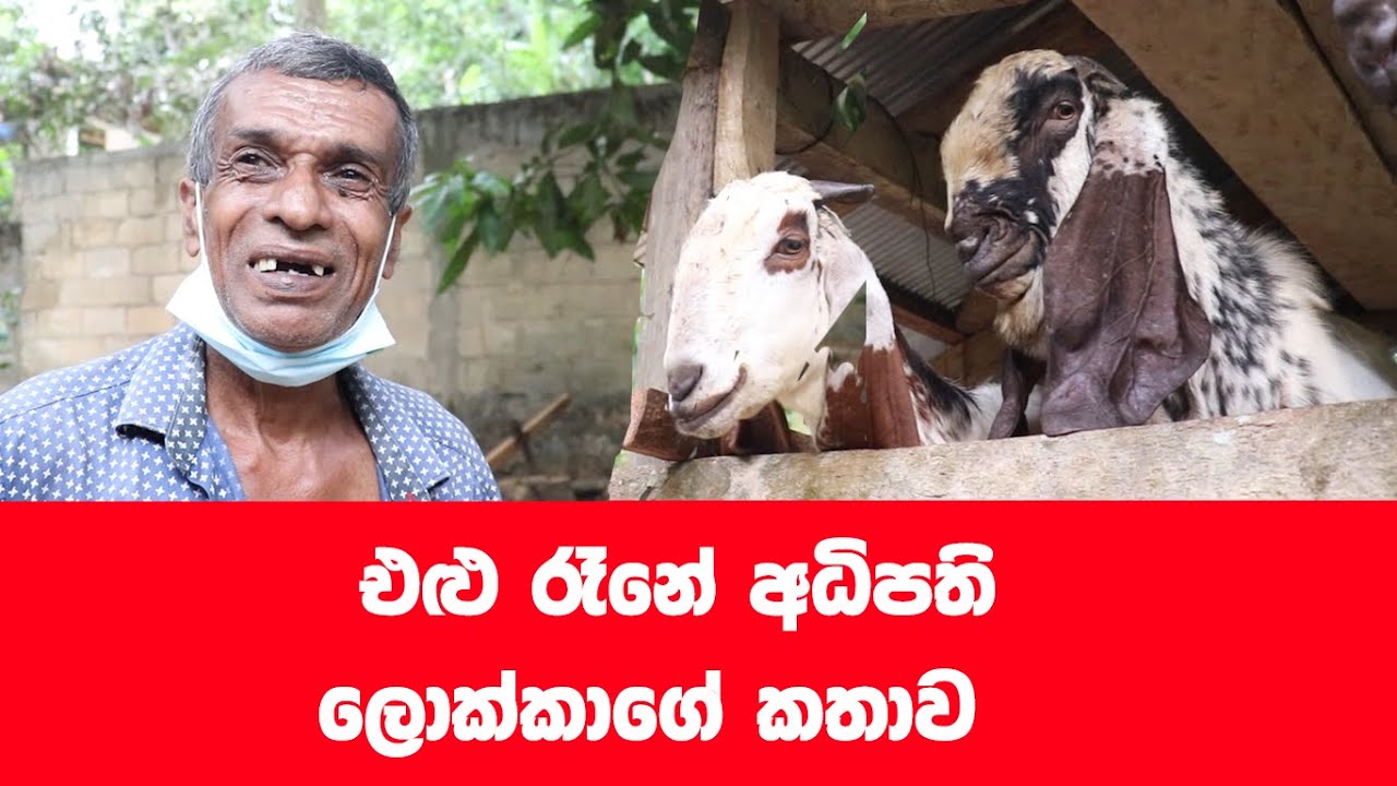 ලොක්කාගේ අමුතු සෙල්ලම