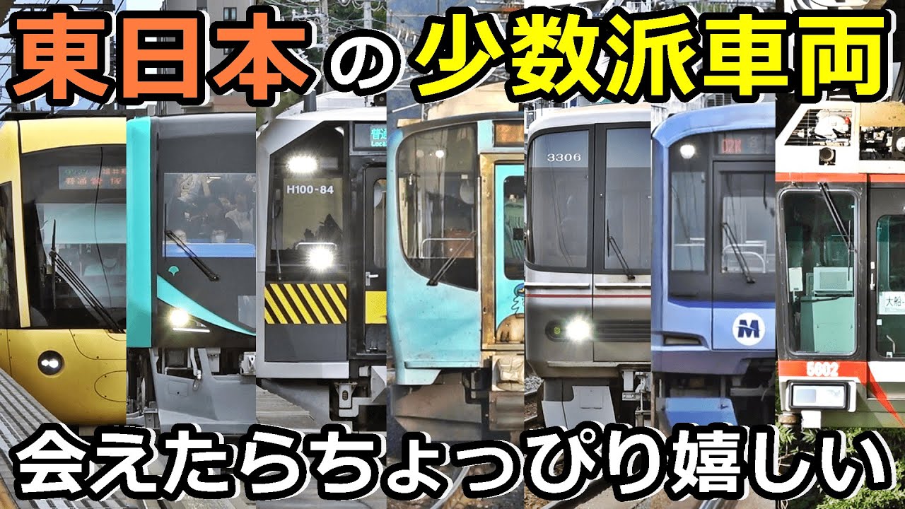 【全部知ってたら化け物】東日本にいる少数派車両を紹介するぜ！