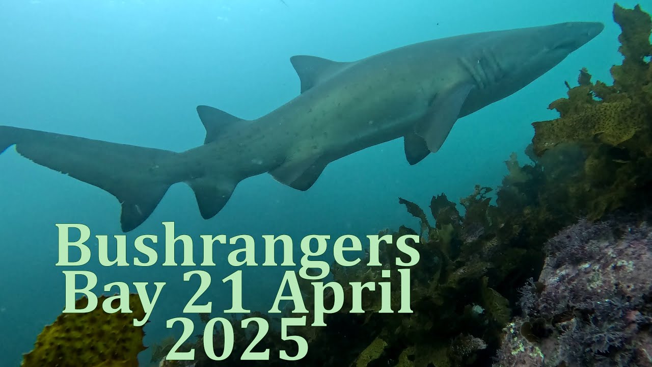 Bushrangers Bay 21 April 2025