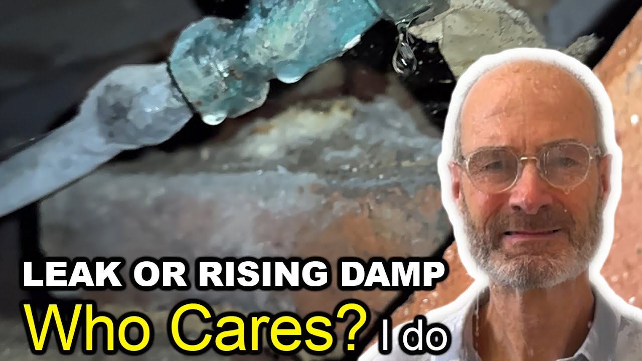 ❌ Kenwood’s “Rising Damp” Claim EXPOSED! 😱 Still Misleading? ⚠️ Cast Your Vote!