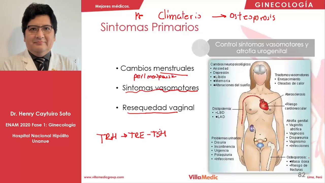 GINECO | Menopausia y climaterio - ENAM 2021